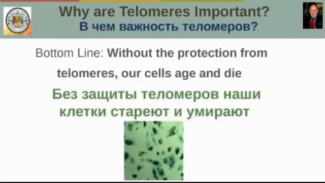 Хорощее описание продуктов Jeunesse.. Знакомимся с товарами по омоложению. смотреть онлайн