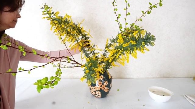 【生け花】【ミモザ】_花柄の練込み陶器にいける_(English Sub)_Sogetsu Ikebana