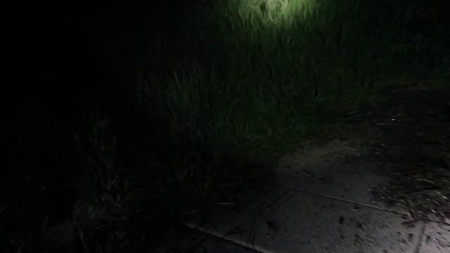 EXPLORING THE HAUNTED ENCHANTED FOREST! (SPOOKY) смотреть онлайн