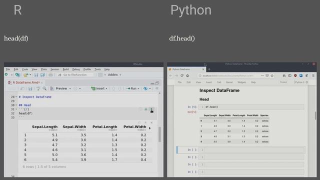 Python vs R - Dataframes | Side by Side Comparison смотреть онлайн