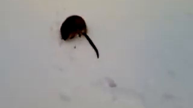 Вот такая вот рыбалка смотреть онлайн