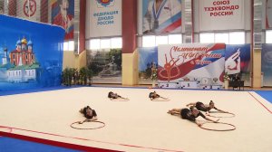 В Рязани провели чемпионат ЦФО по художественной гимнастике