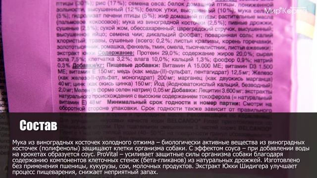 Обзор корма Belcando Finest Croc Medium & Small Breeds смотреть онлайн