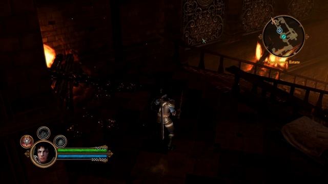 Dungeon Siege III playtest within VMware Workstation 17 Pro on a Windows 10 VM, hosted on Windows 1 смотреть онлайн