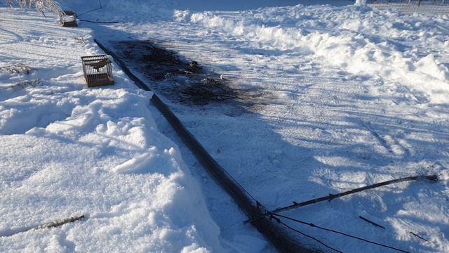 Ловля певчих птиц 2021. Чижи, чечетки и непойманный щегол. смотреть онлайн