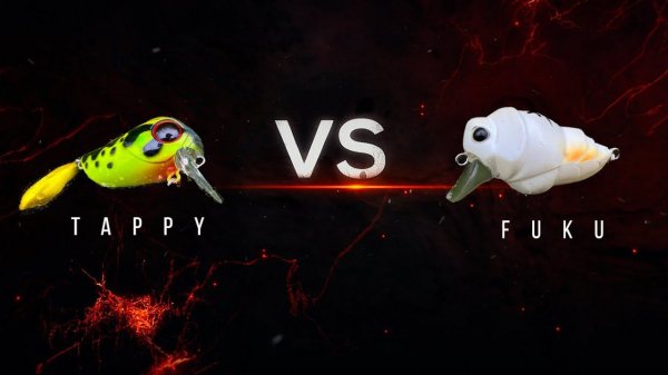 БАТЛ двух топовых приманок на голавля: Jackall micro tappy vs D-3 Custom Fukuzemi.