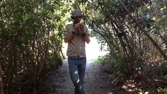 Rhododendron Renaissance- A song amid the plants on Harmonic minor Pocket Flute- Rewildyoursoul смотреть онлайн
