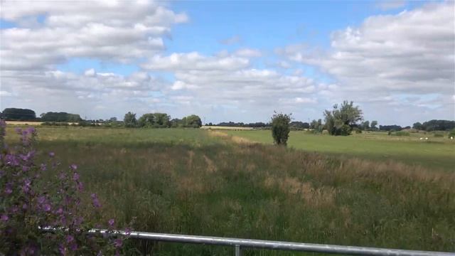 Panasonic HC W580 Camcorder Zoom Test смотреть онлайн