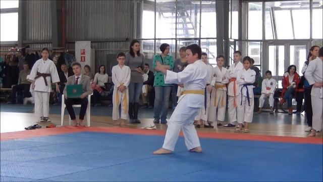 Пилькова Катя. 2 место ката.2место кумитэ.Дедовск 11 февраля 2017 смотреть онлайн