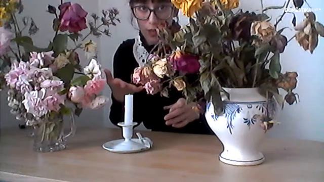 LIVE | How to: Autorretrato Fotográfico en Directo | Dara Scully смотреть онлайн