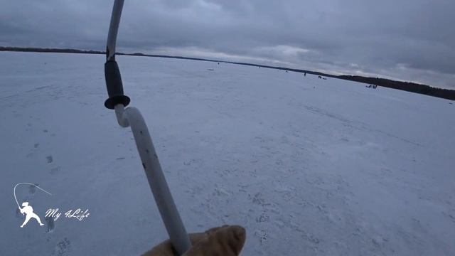 КЛЮЕТ В КАЖДОЙ ЛУНКЕ! Рыбалка на РУЗЕ 19.03.21 смотреть онлайн