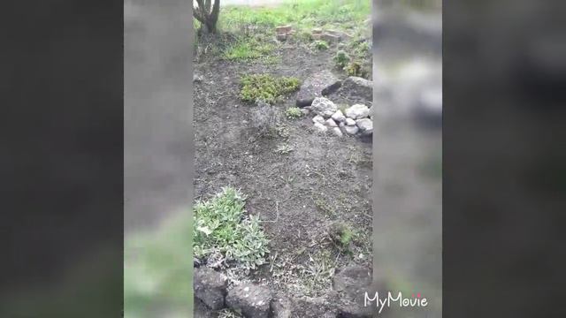 Жизнь, как оно есть)) смотреть онлайн