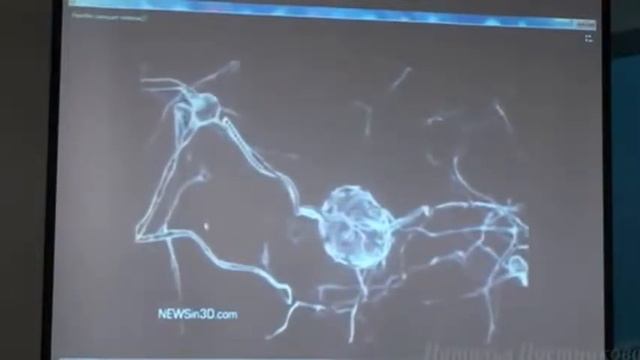 Галина Царёва о проектах инопланетян.