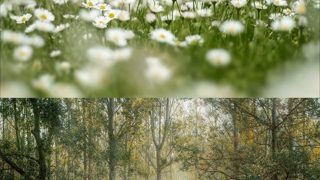 23 сентября 2021 года - прогноз дня - польза от этого будет невероятная смотреть онлайн