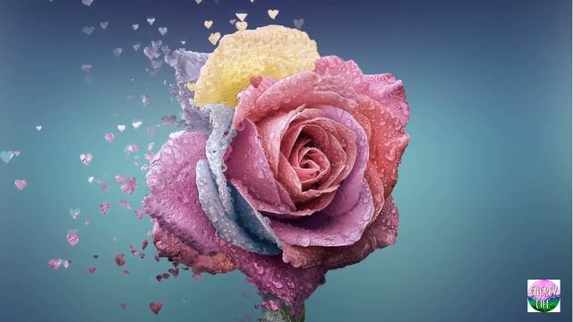 ТЫ- МАГНИТ СЧАСТЬЯ И ЛЮБВИ. МЕДИТАЦИЯ ДЛЯ ЖЕНЩИН смотреть онлайн