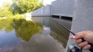 Nautilus Fugu 802L. Мягкий спиннинг для джига?