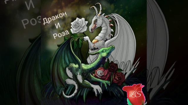 Роза Дракон смотреть онлайн