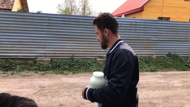 VIP условия для Арктического волчонка. Гибрид Волка и Волэнда. Пруд в Вольере. смотреть онлайн