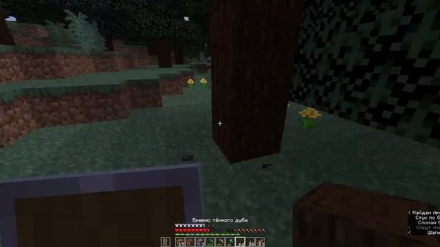 MINE JAVA #5 Нашли место для дома смотреть онлайн