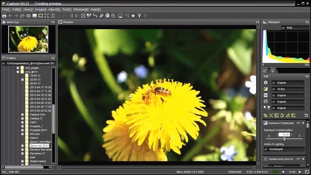 Обзор программы Capture NX-D смотреть онлайн