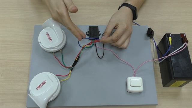 Сигнал звуковой УЛИТКА ТМ SKYWAY