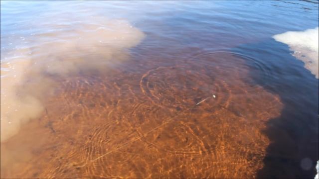 SolarFall's Jerkbaits And Crankbaits Go For A Swim.wmv