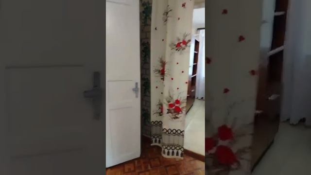 11445785 смотреть онлайн
