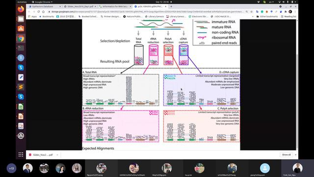 JCS 38: RNA sequencing 1 DGE analysis using RNAseq смотреть онлайн