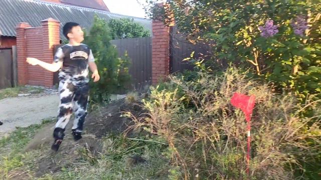 Охота на бабочек на кустах сирени смотреть онлайн