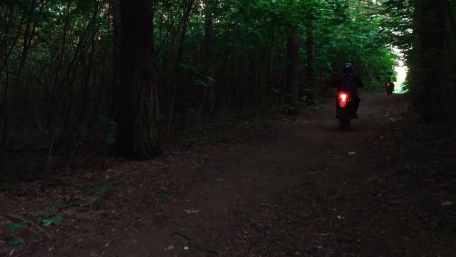 Электронный стабилизатор для телефона HOHEM ISTEADY V 2. смотреть онлайн