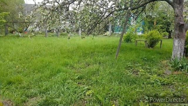 Горбатый санаторий, 6 серия. Разговор по душам? смотреть онлайн