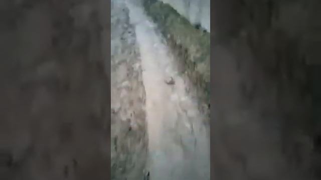 Село Бешкунгей смотреть онлайн