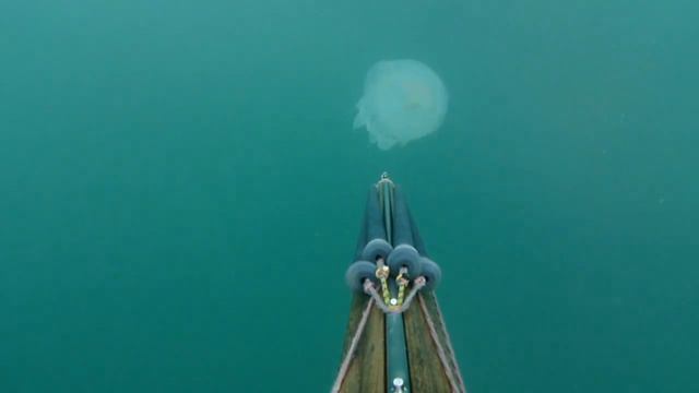 Подводная охота в Черном море закрытие сезона 2011 смотреть онлайн