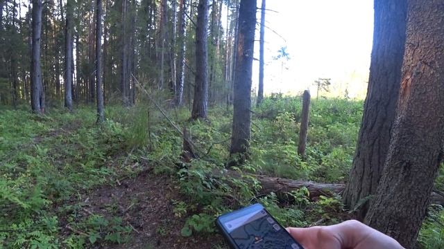 Удивительный Кипун в Удмуртии. Черное озеро в форме сердца, путешествуем по Якшур-Бодьинскому район смотреть онлайн