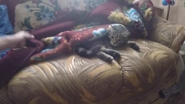 Суровые Уральские Будни #3 - Как Делают Ружья Таймень и Подводная Охота смотреть онлайн