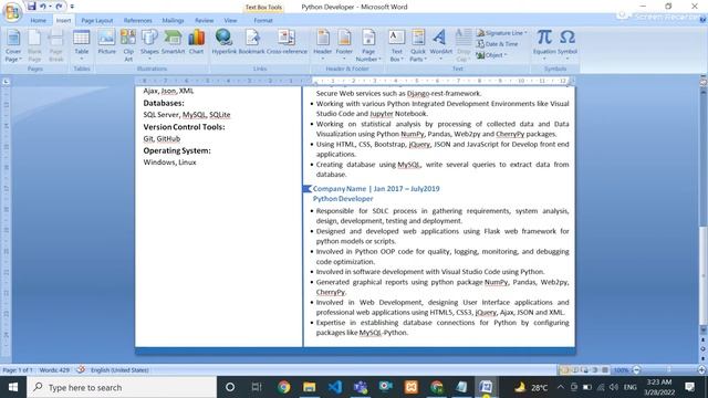 python developer resume | Professional Python Developer Resume смотреть онлайн