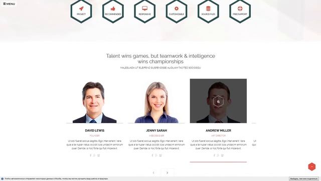 Freelance Team - Portfolio and Shop WordPress Theme смотреть онлайн