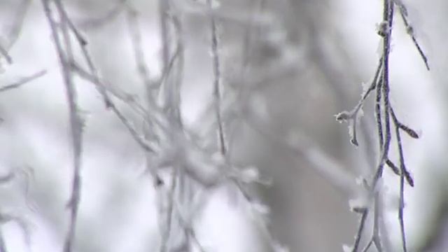 Морозы в Ярославле продержатся еще несколько дней смотреть онлайн