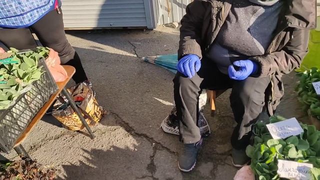 Едем с Васей торговать на рынок .Разборки на рынке. смотреть онлайн