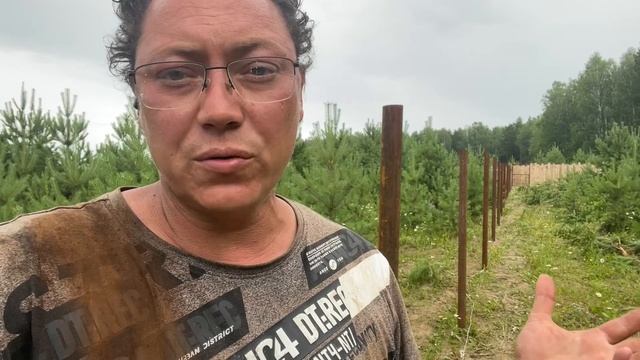 Новые зоны выгула собак смотреть онлайн