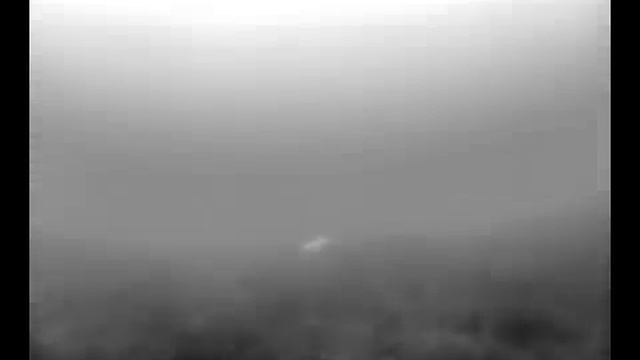 Ловля щуки зимой. Анализ поведения хищника смотреть онлайн