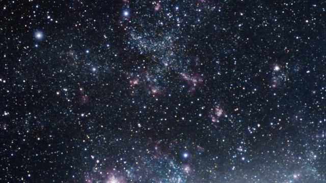 Zooming Into The Cosmic Reef