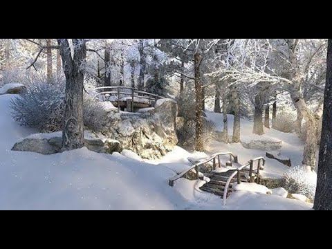 Зимний сад (кавер-дуэт) смотреть онлайн