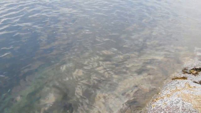 Баренцево море. Териберка. 30.07.2014 2ч. смотреть онлайн