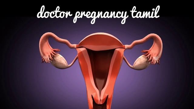 Pregnancy Stomach Pain In Tamil|early Pregnancy Stomach Pain In Tamil|pregnancy Symptom Stomach Pai