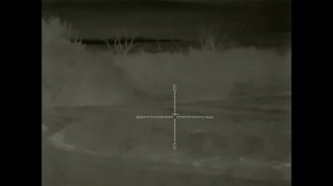 Охота на шакала ночью, идут на манок.