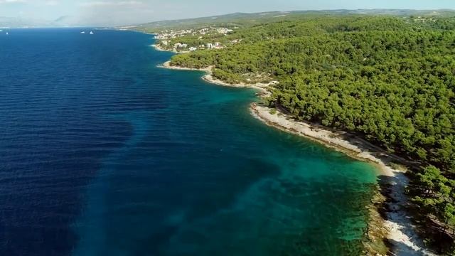 звуки природы, пение птиц, после 15 минут просмотра вы погрузитесь в глубокий сон, релакс. смотреть онлайн