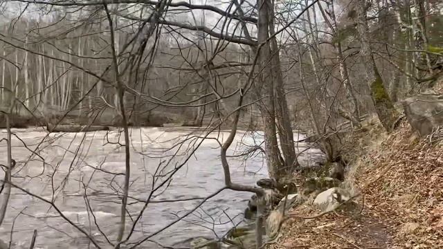 ✅Открыла сезон жидкой воды. ? Река Систа. смотреть онлайн