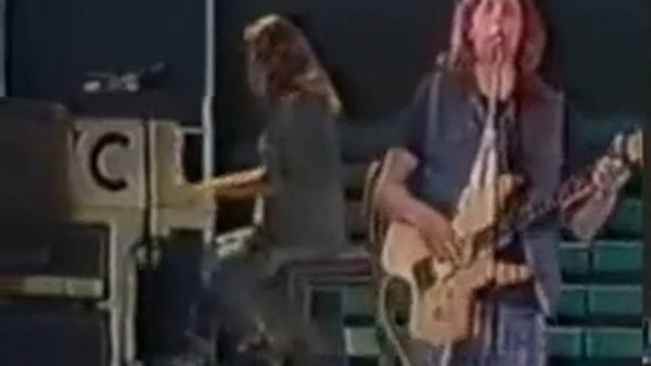 Воскресение -Птицы белые мои