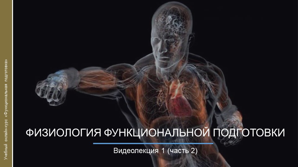 Видеокурс. Физиология функциональной подготовки_ч2 смотреть онлайн
